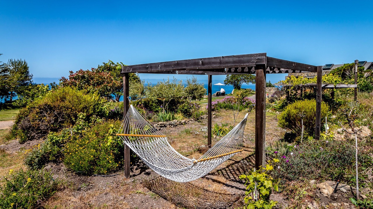 Photo of Outdoor in Big Sur