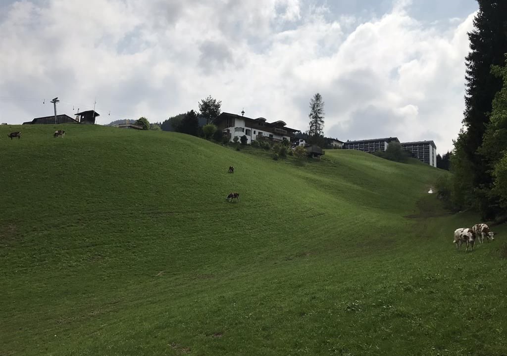 Photo of Others in Ellmau