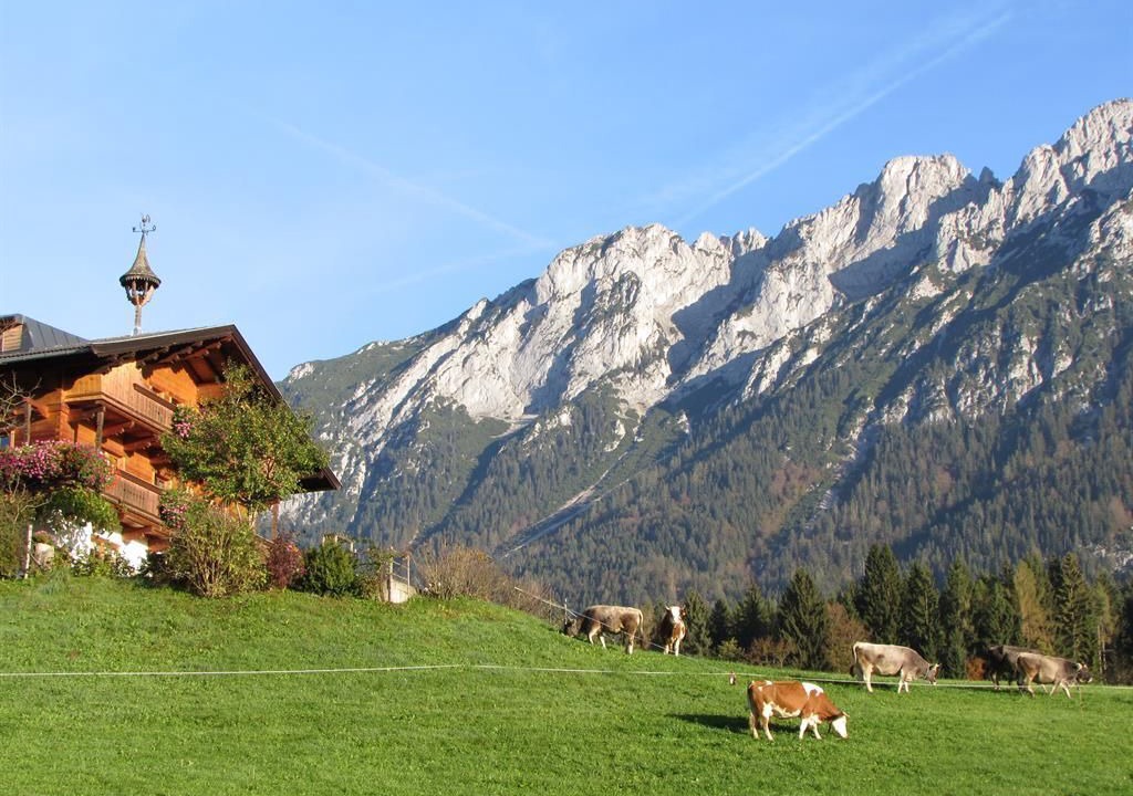 Photo of Others in Scheffau am Wilden Kaiser