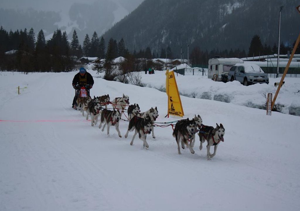 Photo of Others in Leogang