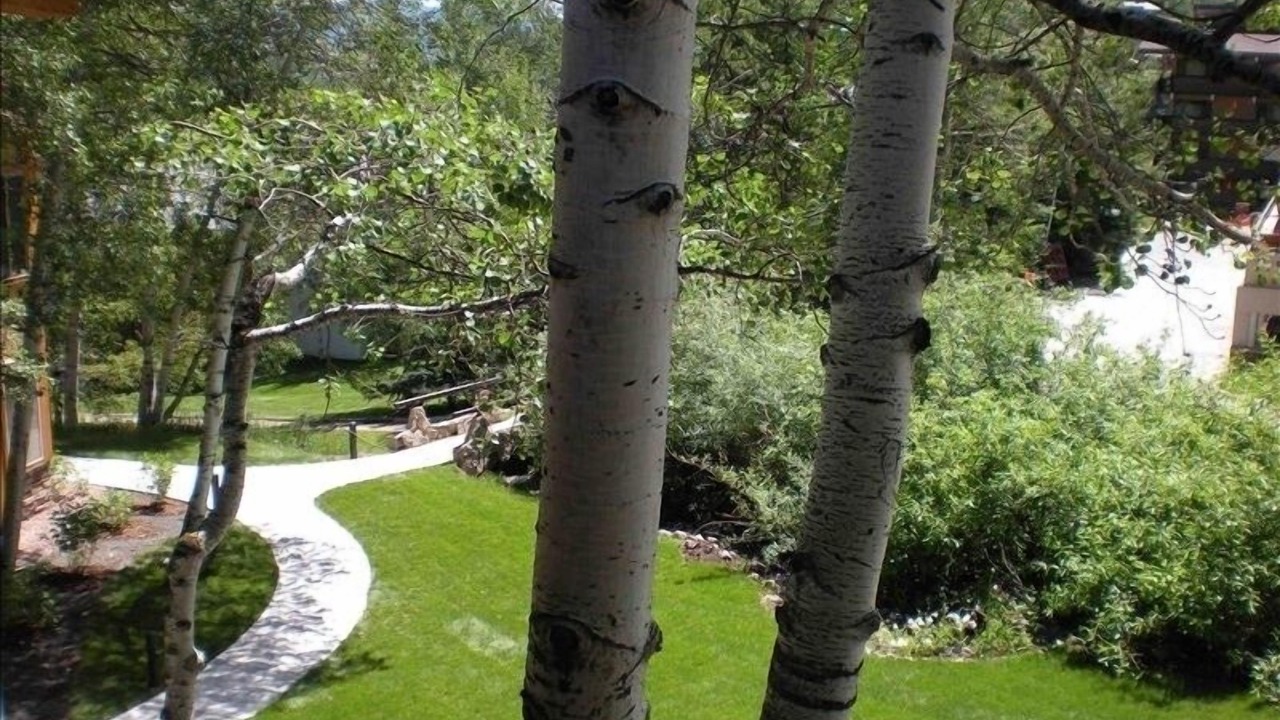 Photo of Others in Snowmass Village