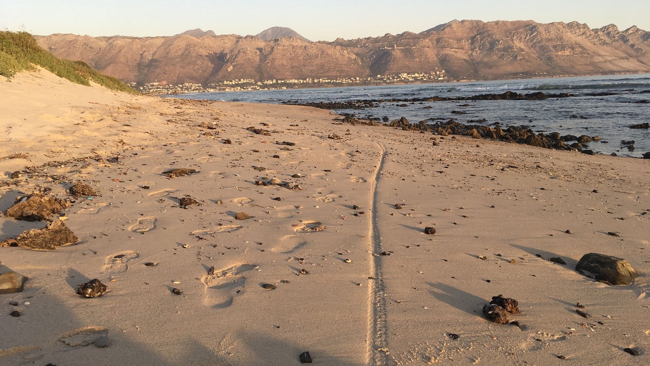 Photo of Others in Strand