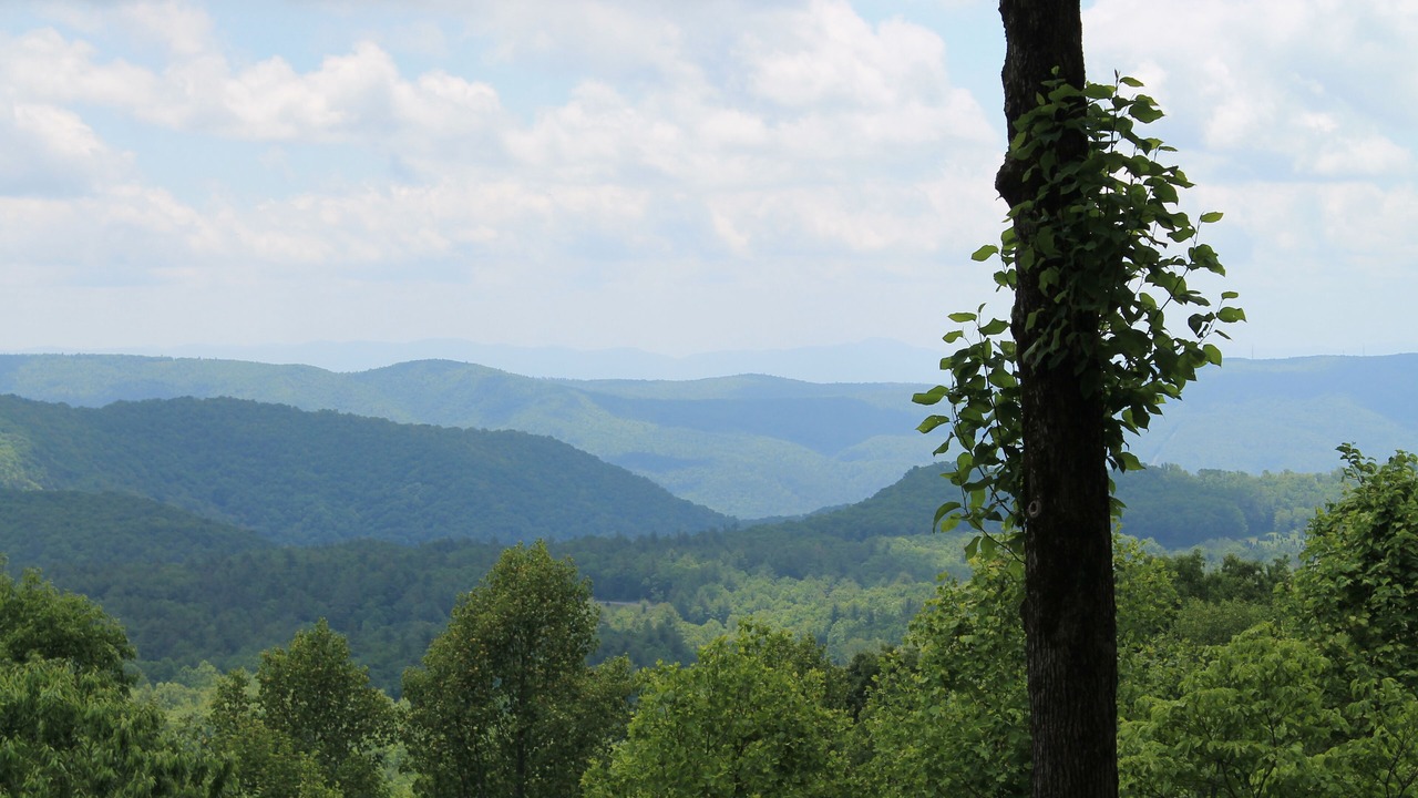 Photo of Others in Spruce Pine
