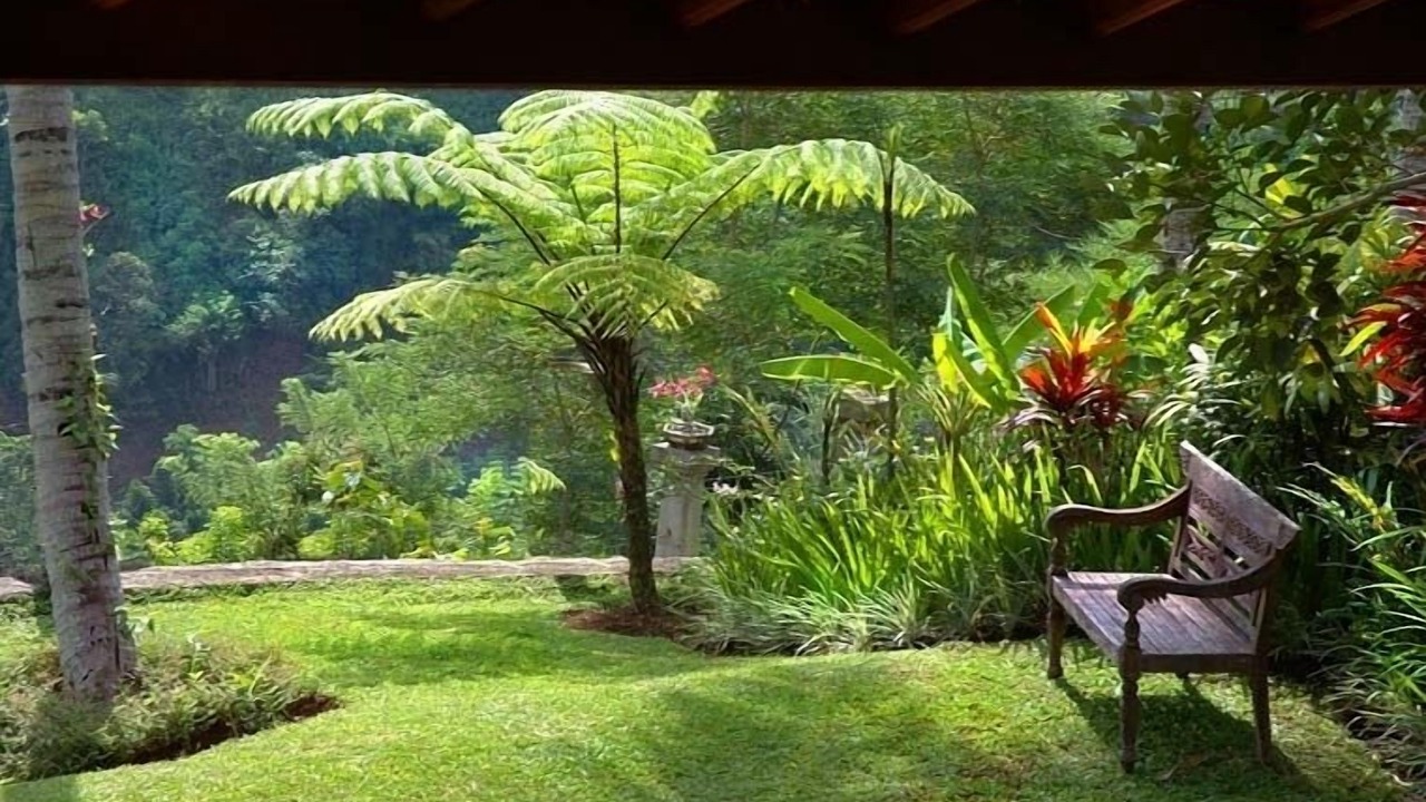 Photo of Others in Lodtunduh