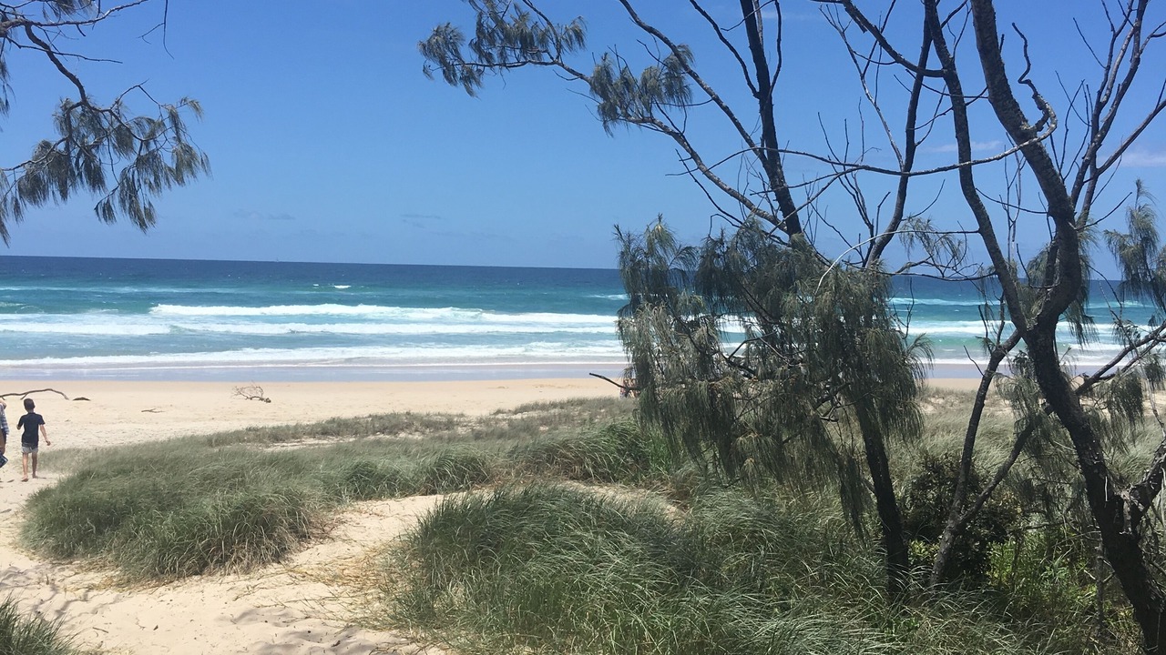 Photo of Others in Byron Bay
