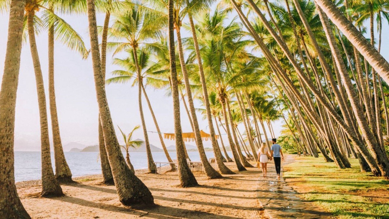 Photo of Others in Palm Cove