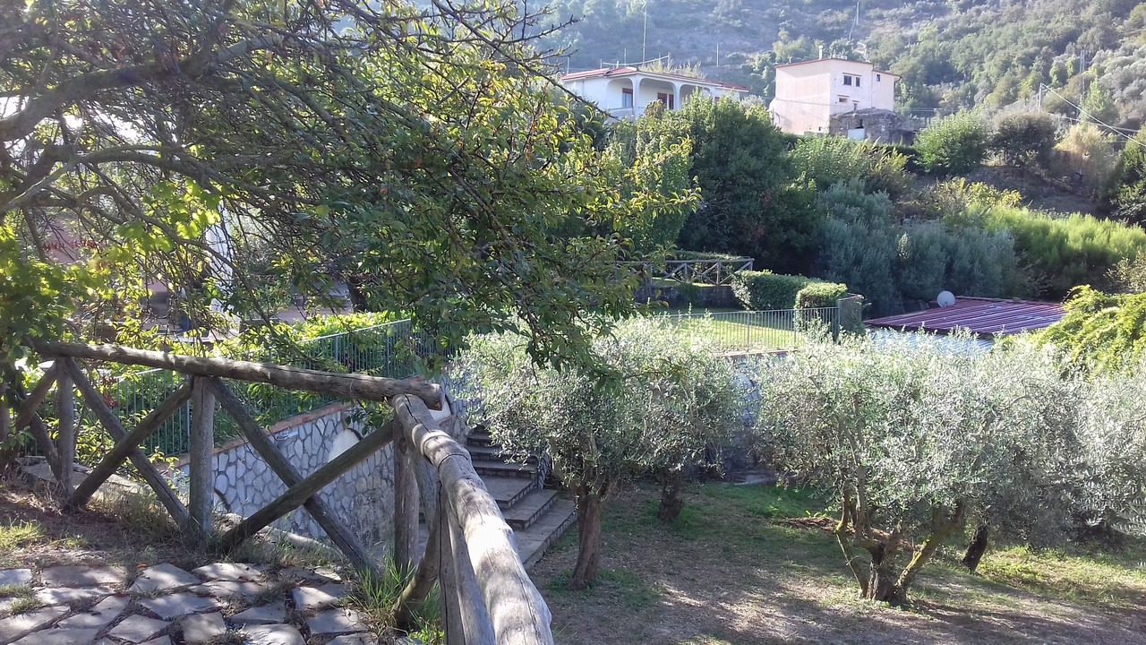 Photo of Outdoor in Termini