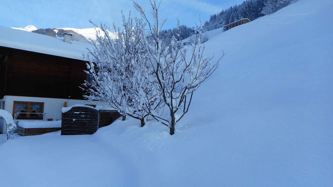 Photo of Outdoor in Seblas