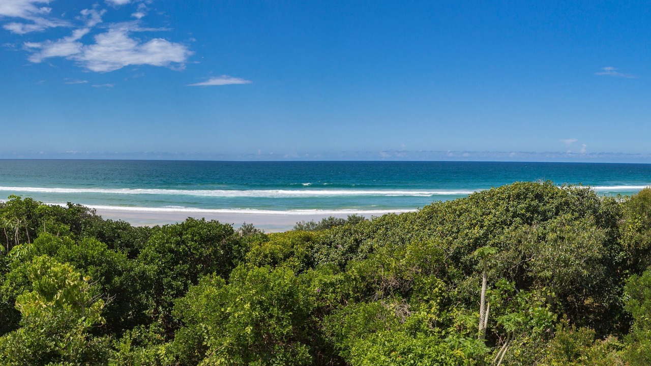 Photo of Others in Hastings Point