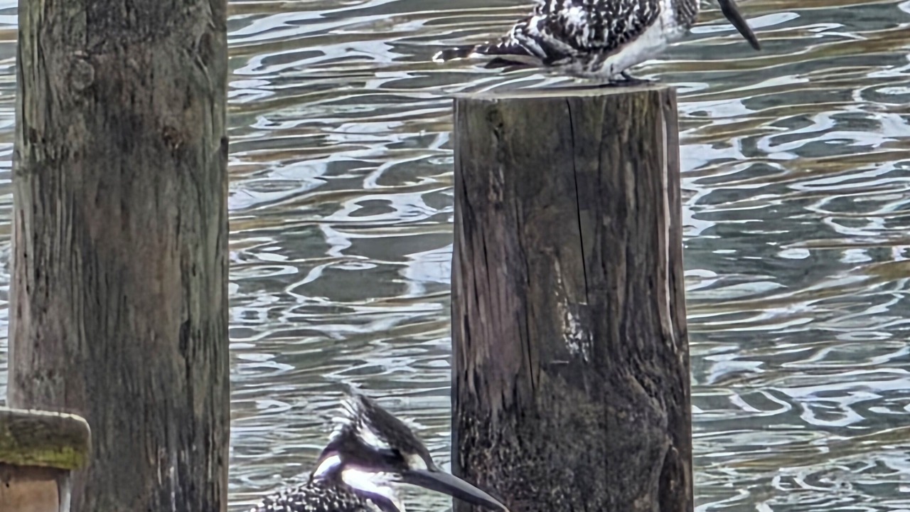 Photo of Others in Knysna