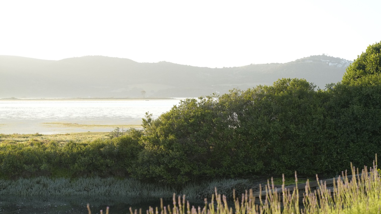 Photo of Others in Knysna