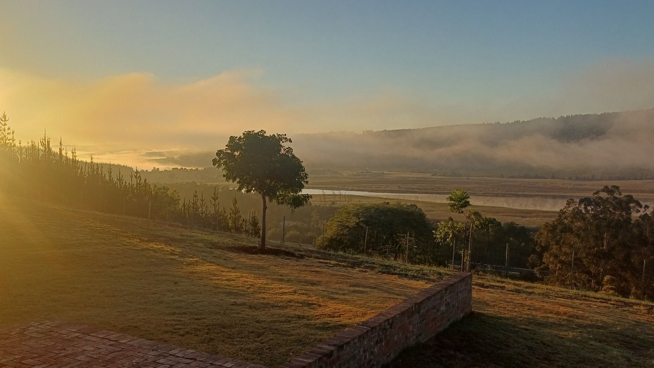 Photo of Others in Sedgefield