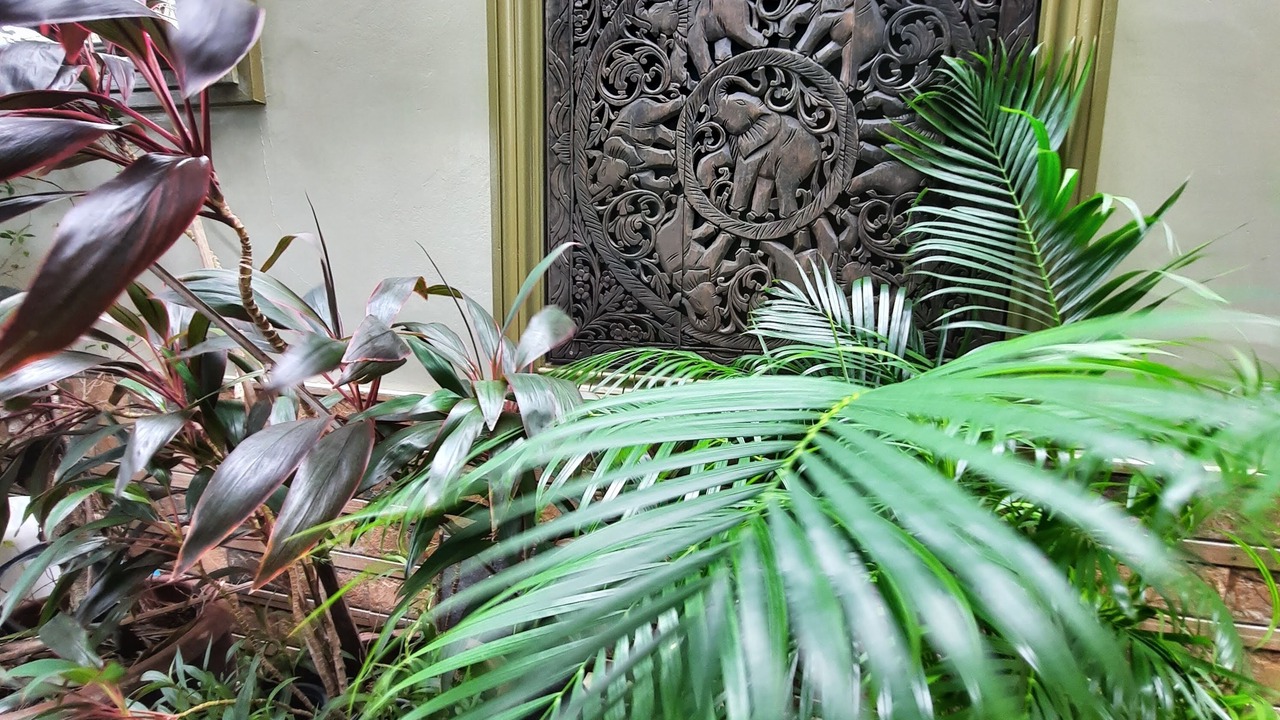 Photo of Outdoor in Nai Harn