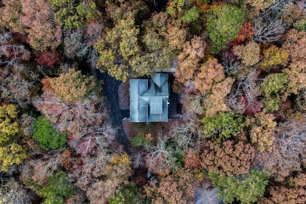 Photo of Others in Ellijay