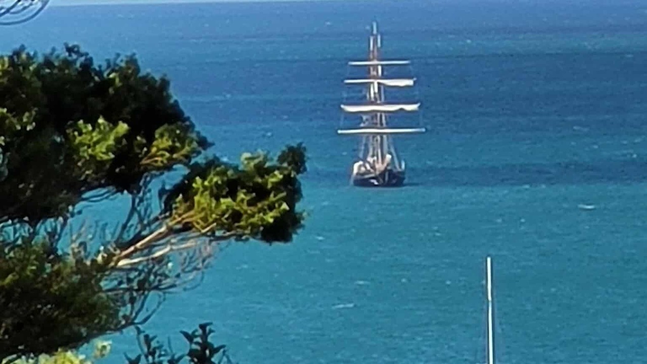 Photo of Others in Algies Bay