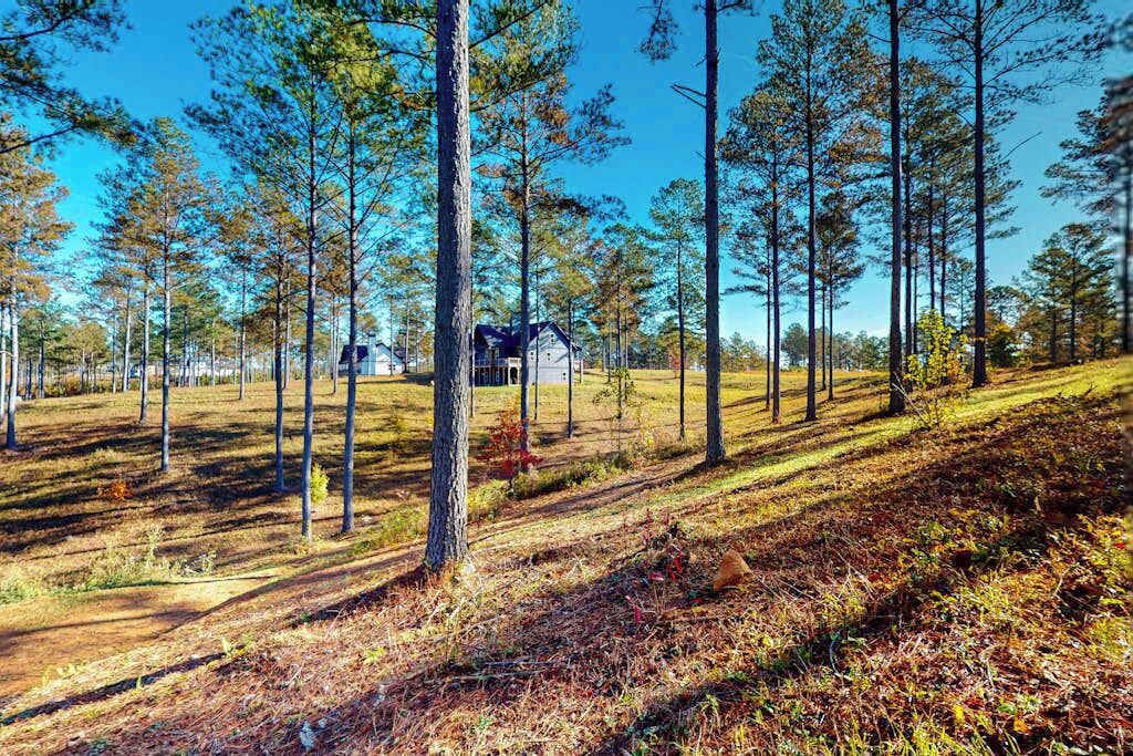 Photo of Outdoor in Ellijay