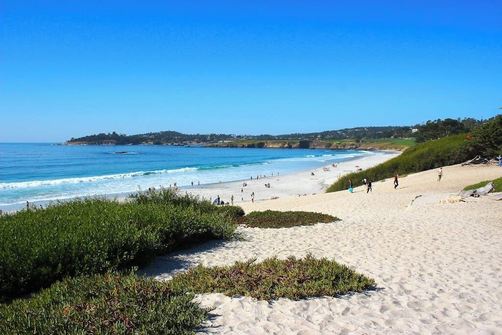 Photo of Others in Northwest Carmel