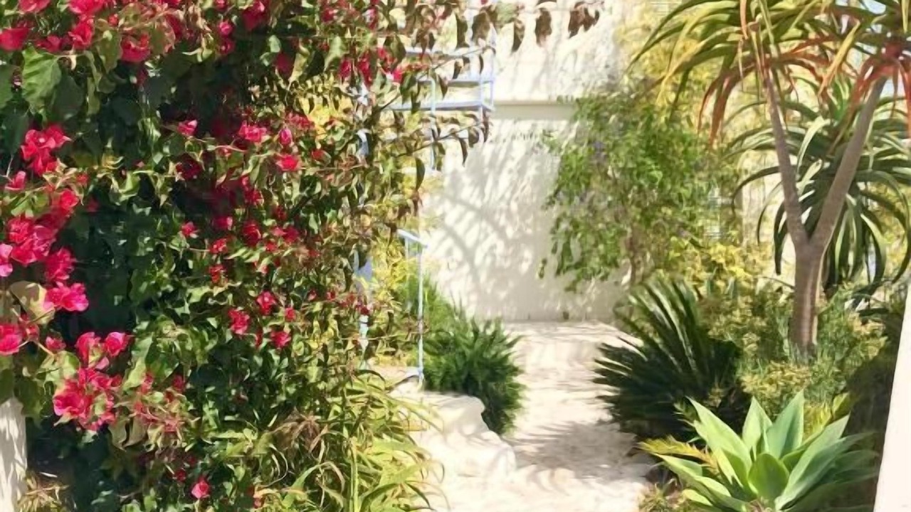 Photo of Outdoor in Calypso Beach