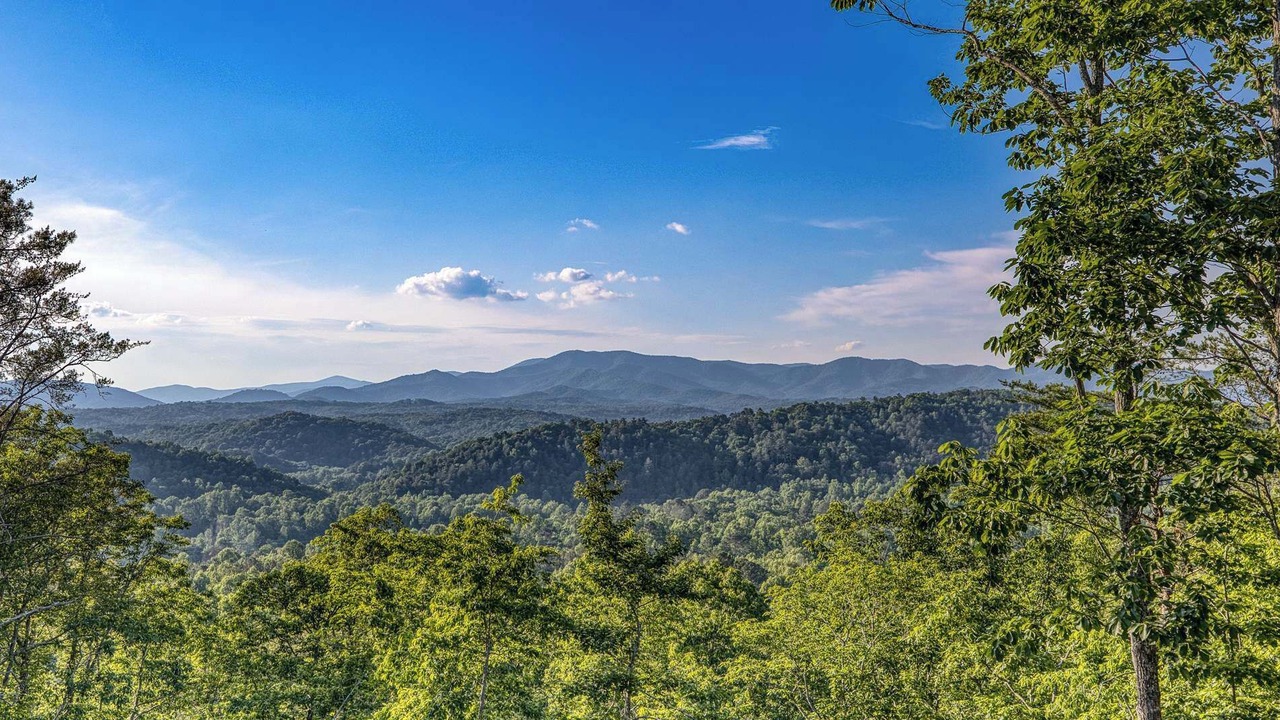 Photo of Others in East Ellijay