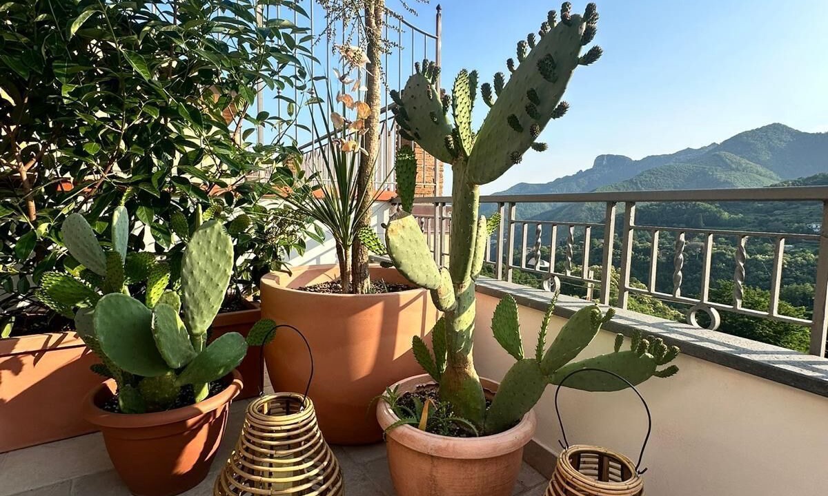 Photo of Outdoor in Tramonti