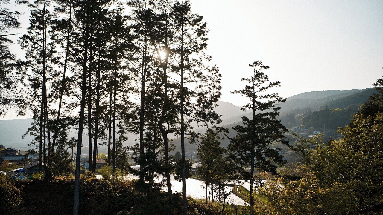 Photo of Others in Ena