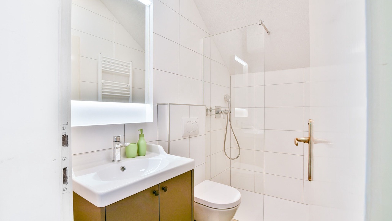 Photo of Bathroom in Bled