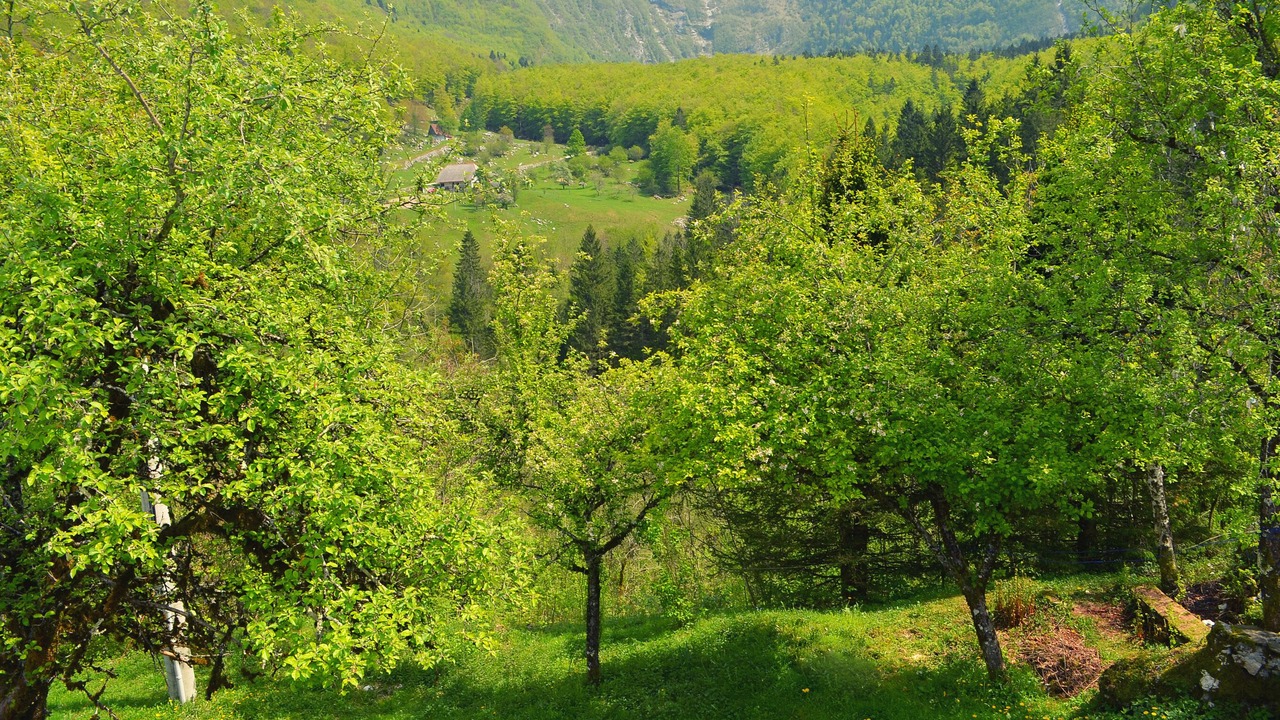 Photo of Bedroom in Bovec
