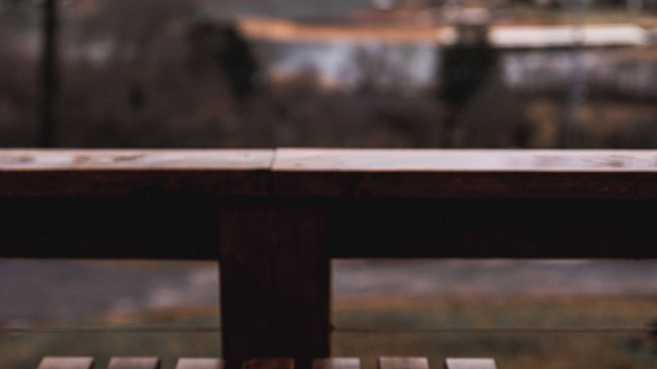 Photo of Others in Hiawassee