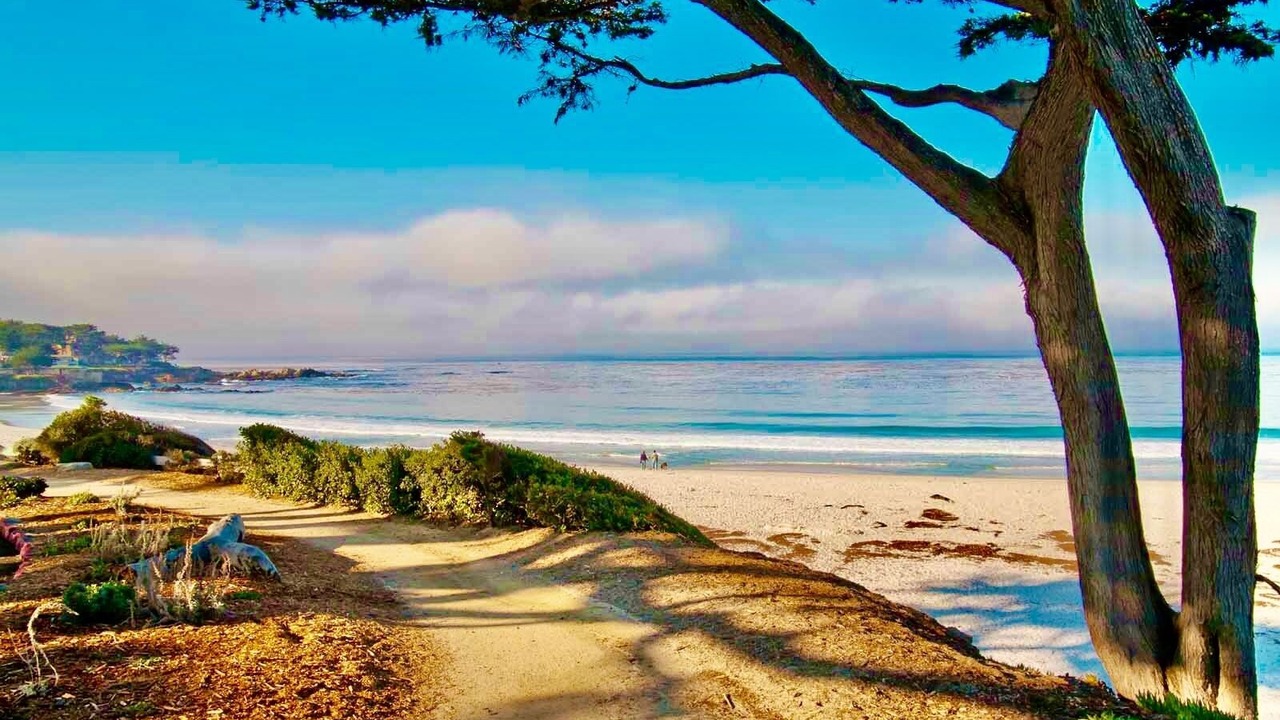 Photo of Others in Carmel Point