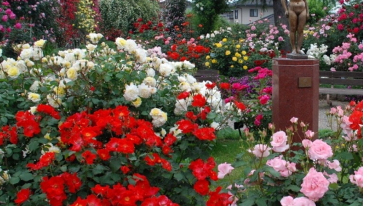 Photo of Outdoor in Madarao Mountain Resort