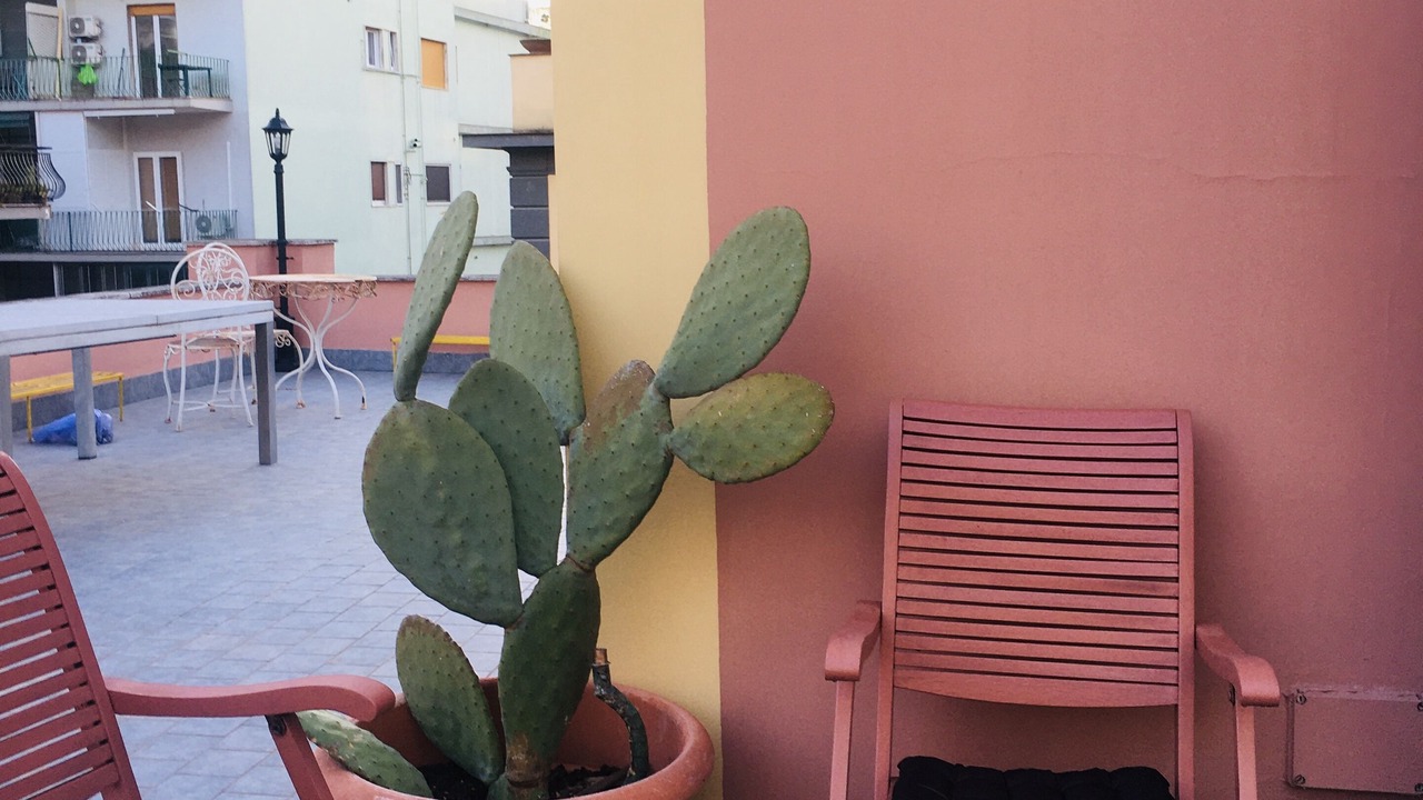 Photo of Patio Balcony in Vomero