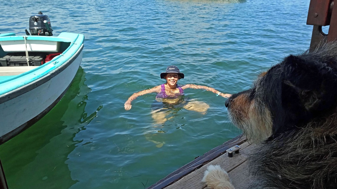 Photo of Others in Knysna