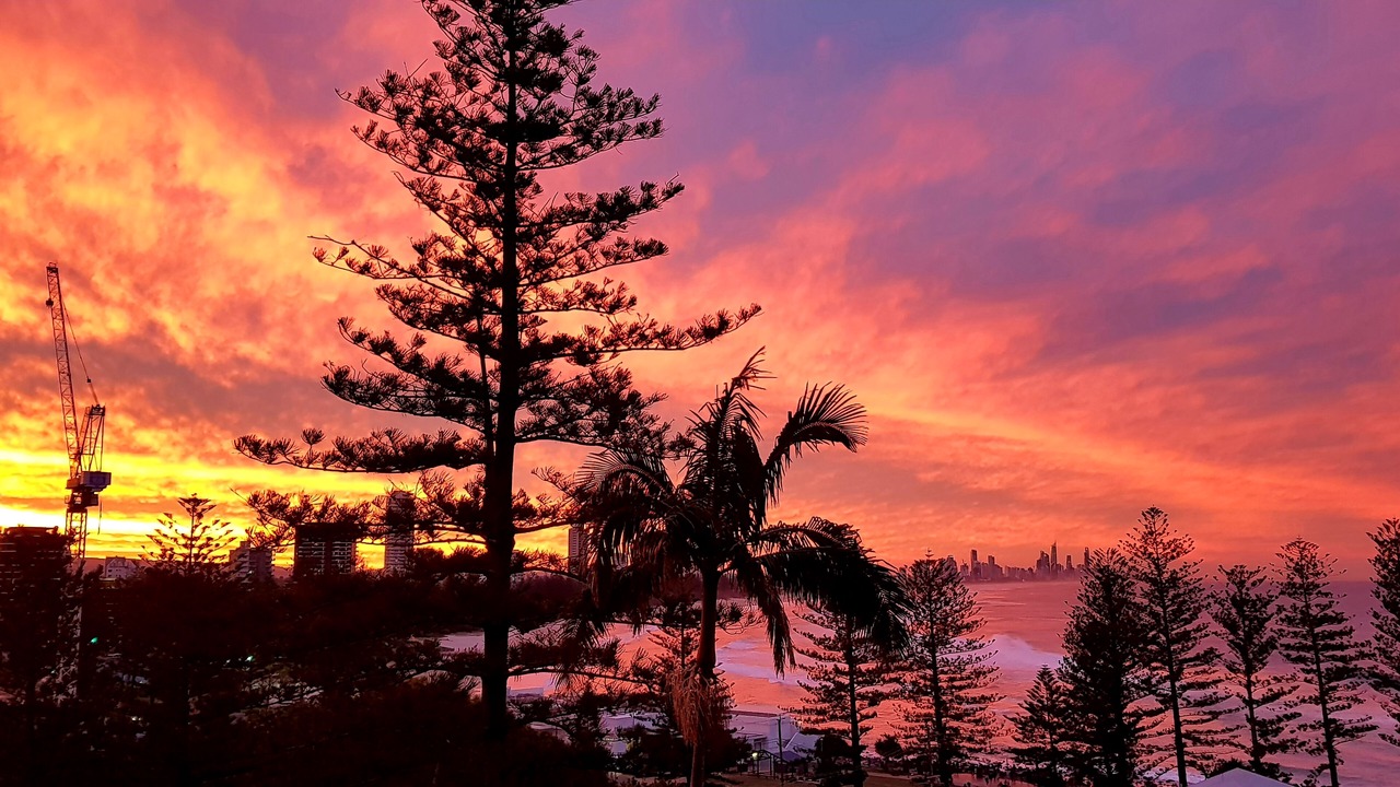 Photo of Others in Burleigh Heads