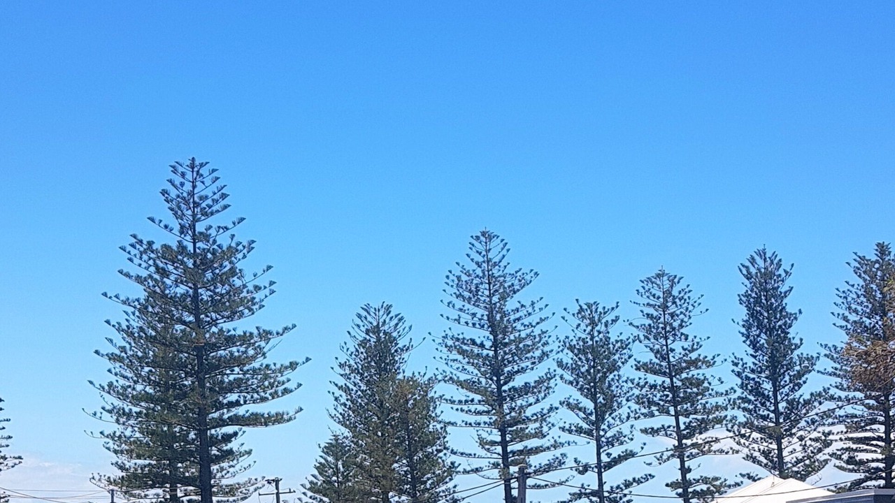 Photo of Others in Burleigh Heads