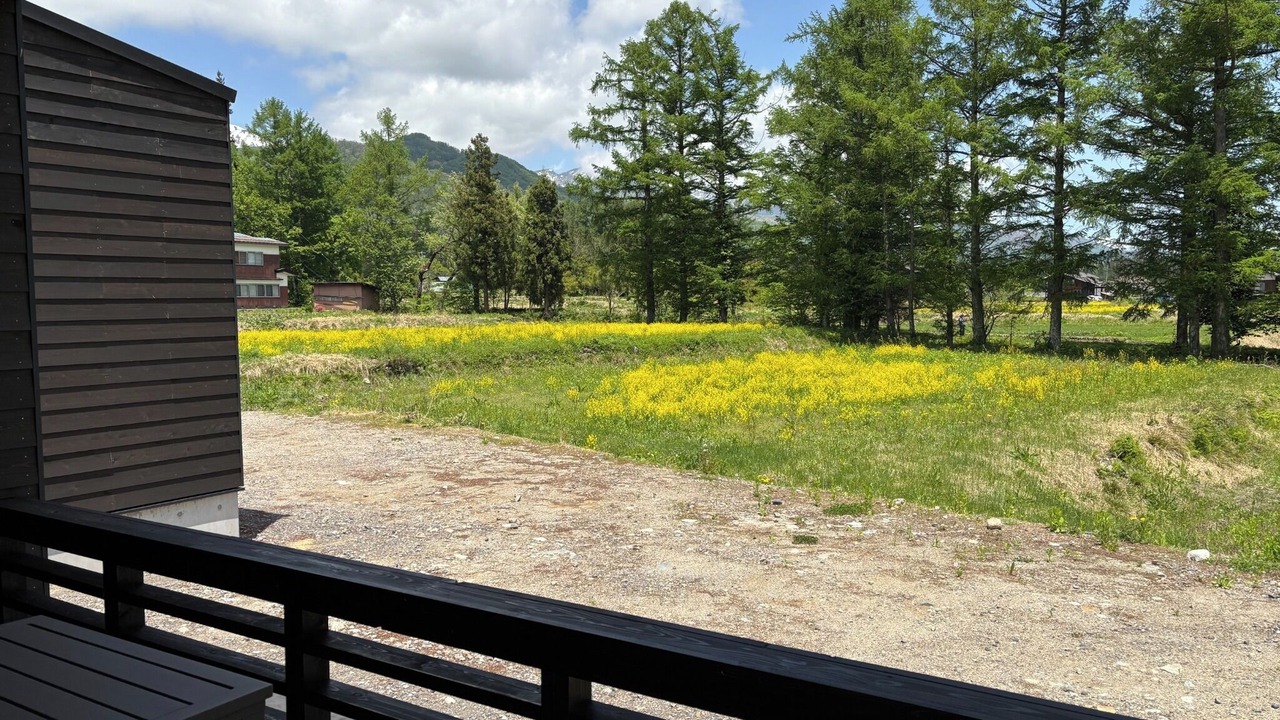 Photo of Others in Hakuba