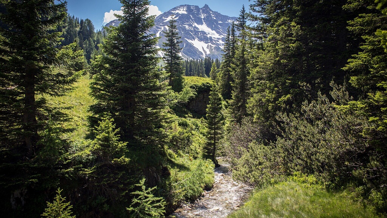 Photo of Outdoor in Rauris