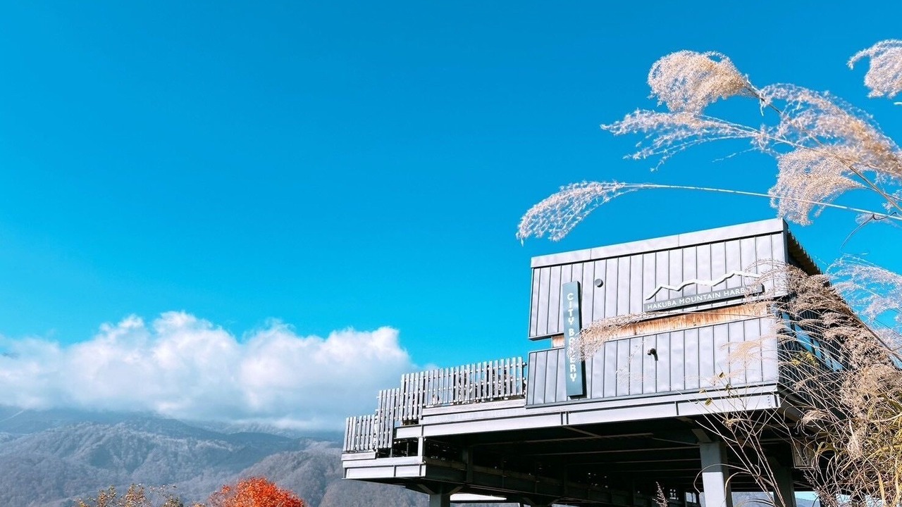 Photo of Others in Hakuba
