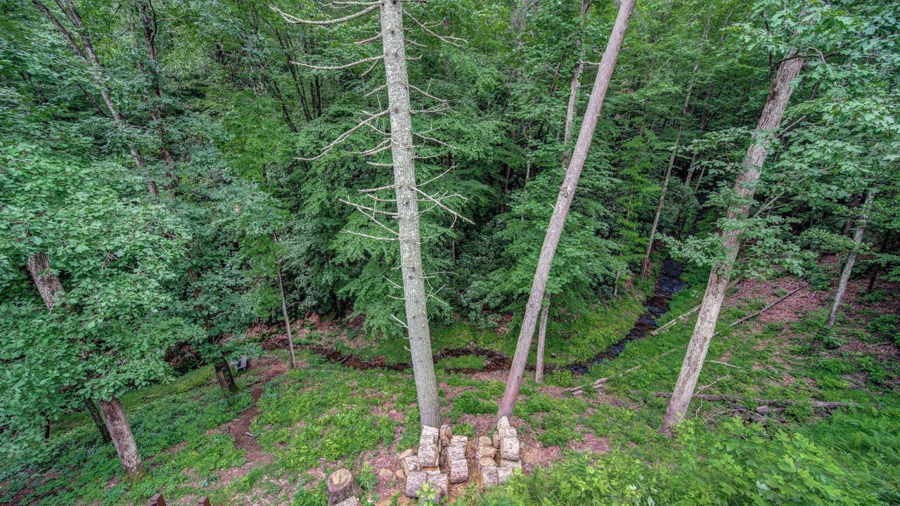 Photo of Others in Foxfire Estates