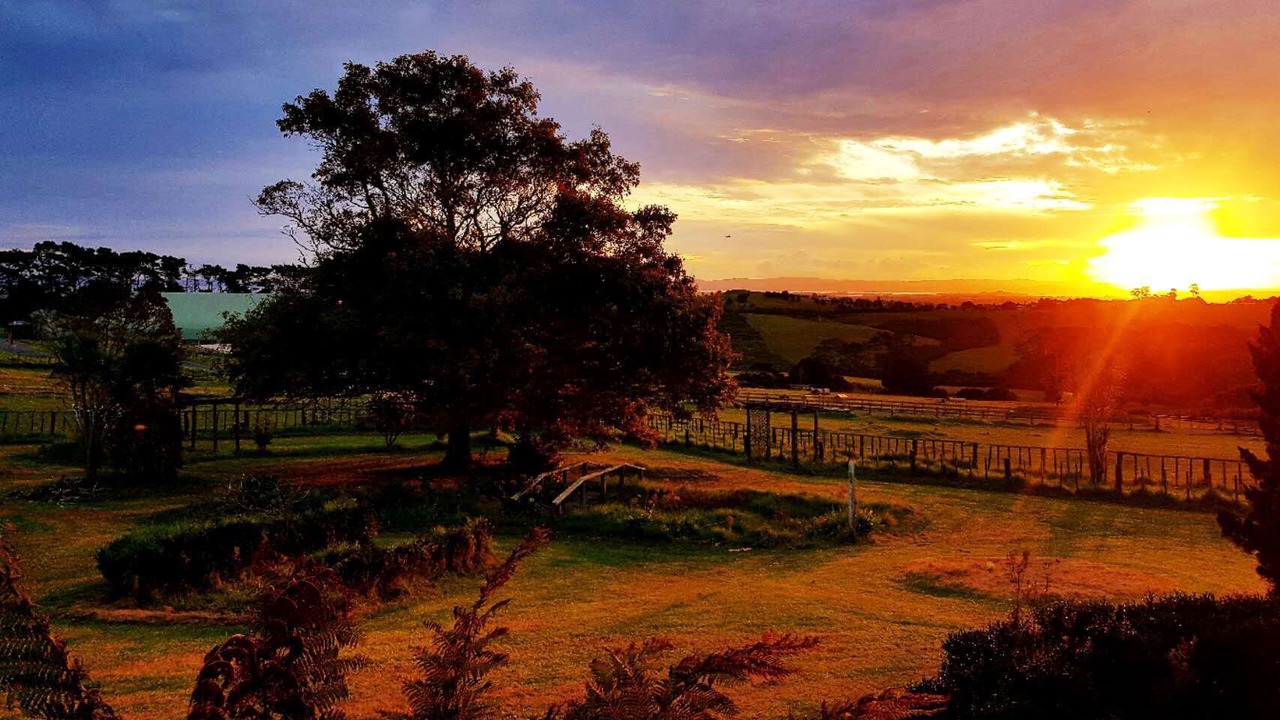Photo of Outdoor in Auckland