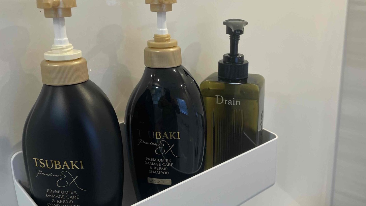 Photo of Bathroom in Fujimi