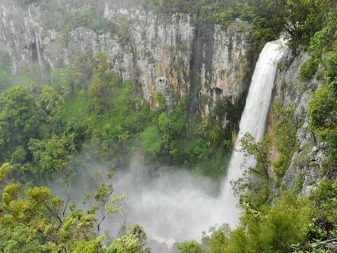 Photo of Others in Springbrook