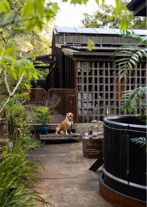 Photo of Others in Bangalow