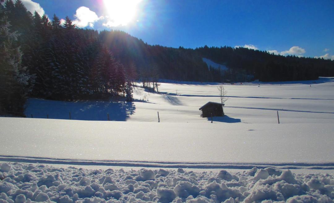Photo of Others in Oberndorf in Tirol