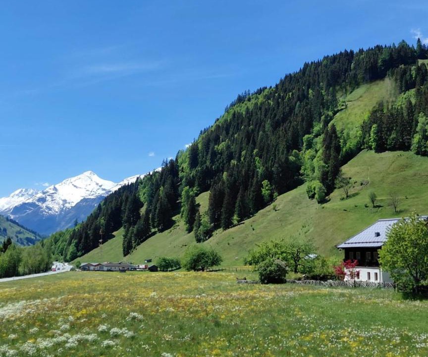 Photo of Others in Rauris