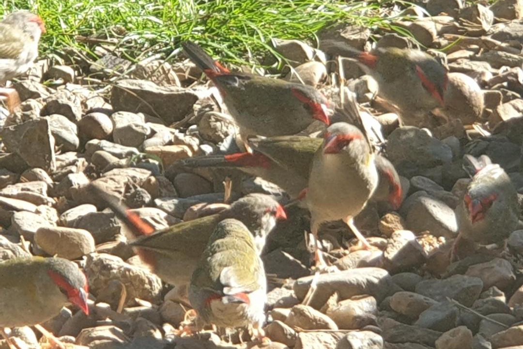Photo of Others in Repentance Creek