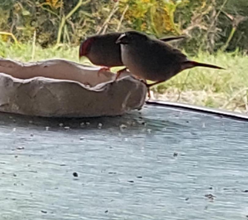 Photo of Others in Repentance Creek