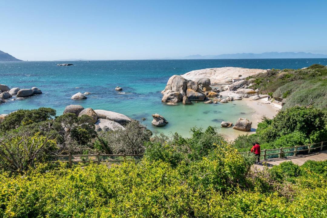 Photo of Others in Simon's Town