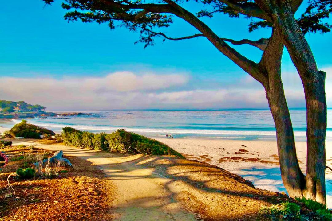 Photo of Others in Carmel Point