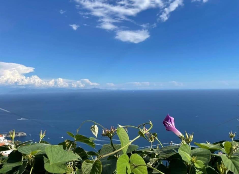 Photo of Others in San Michele