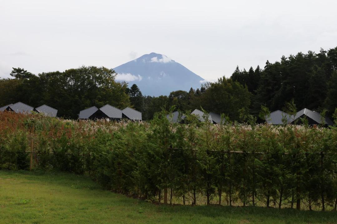 Photo of Others in Narusawa